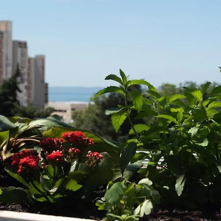 Sunnyrose - Walking Distance From Znjan - Free Public Parking - Huge Balcony * Сплит